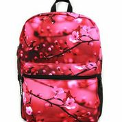 Рюкзаки, чемоданы, чехлы, ланч боксы - Mad*Pax, Mo*jo, Bea*trix - USA #14