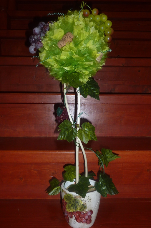 Виноградная лоза