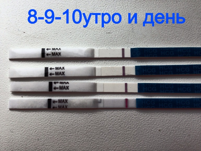 Тест день 10 дпо