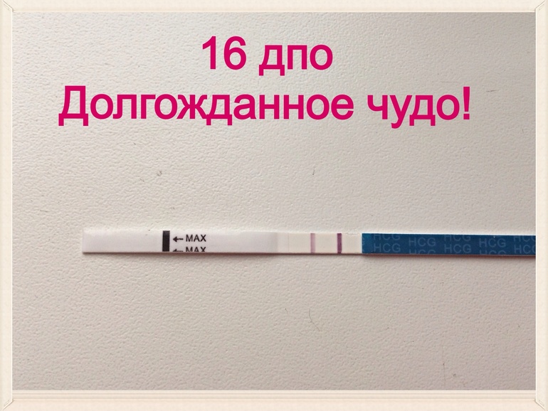 16 дпо последний тест