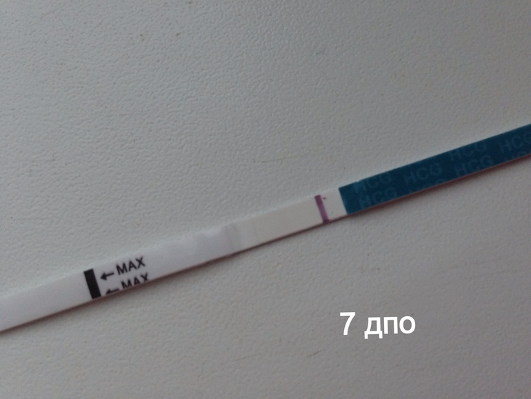 Вздутие после овуляции. 7 ДПО тест на беременность. Положительные тесты на беременность на 7 день после овуляции. 7 ДПО тест на беременность положительный. 7 День ДПО тест.