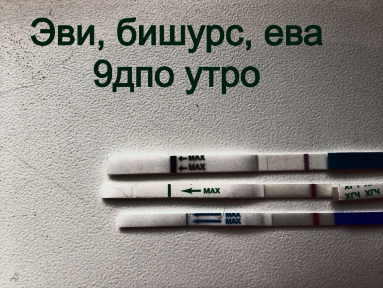 9 дпо тесты утро .