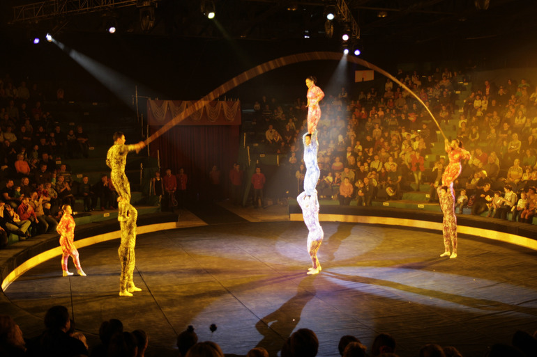 Цирк огромных зверей в Сокольниках. Отзыв)))