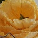 Будьте бдительны