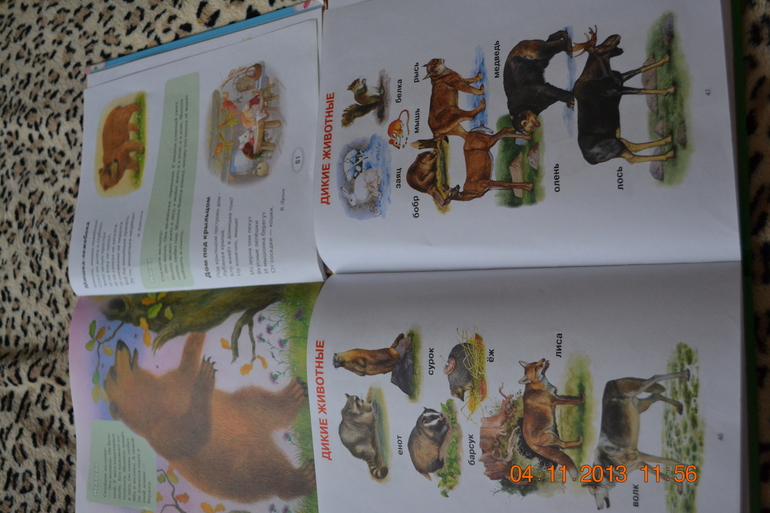 ТН ДИКИЕ ЖИВОТНЫЕ