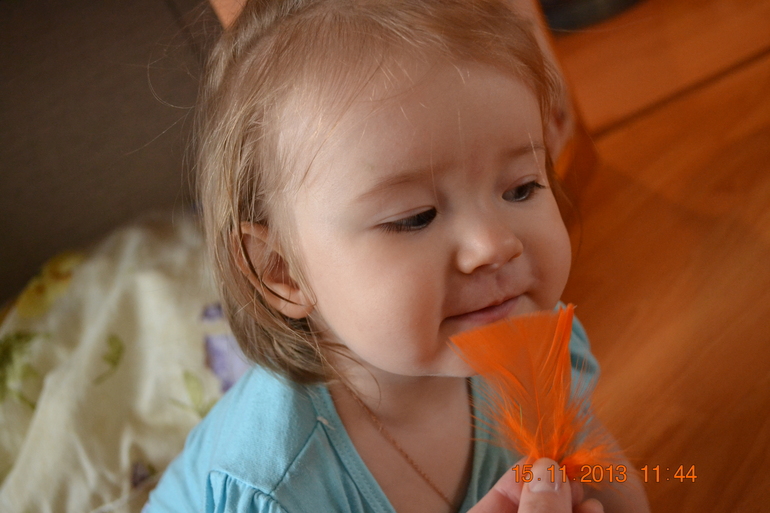 ТН Домашние животные