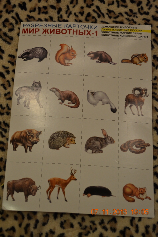 ТН ДИКИЕ ЖИВОТНЫЕ