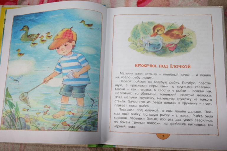 Кружечка под ёлочкой книга. Кружечка под елочкой читательский дневник. Кружечка под елочкой читательский дневник. Житков кружечка под елочкой. Сказка кружечка под ёлкой.