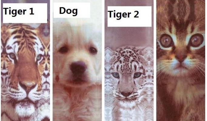 Хлопковые 3D носки, цена 70 руб! Расцветки микс из 8 видов!