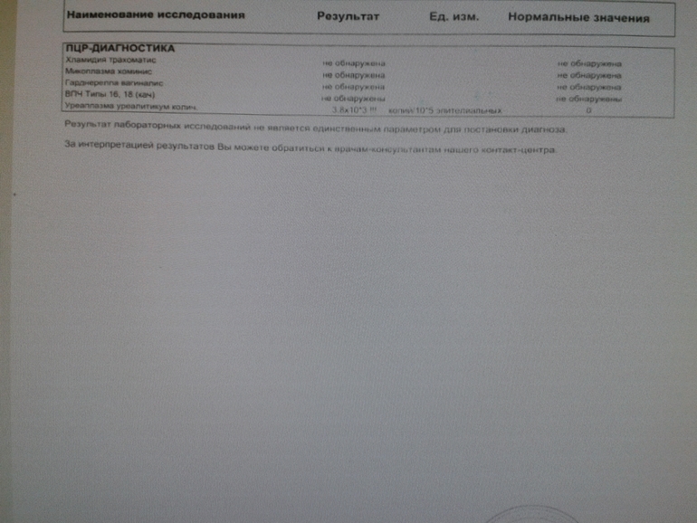 Пцр анализ уреаплазма. Положительный результат на уреаплазму. Ureaplasma urealyticum Гемотест. Положительный тест на уреаплазму. Как узнать титр уреаплазмы.