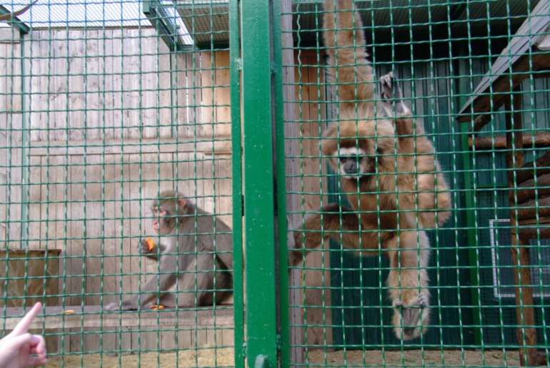 Бердянск, как и где правильно отдыхать!