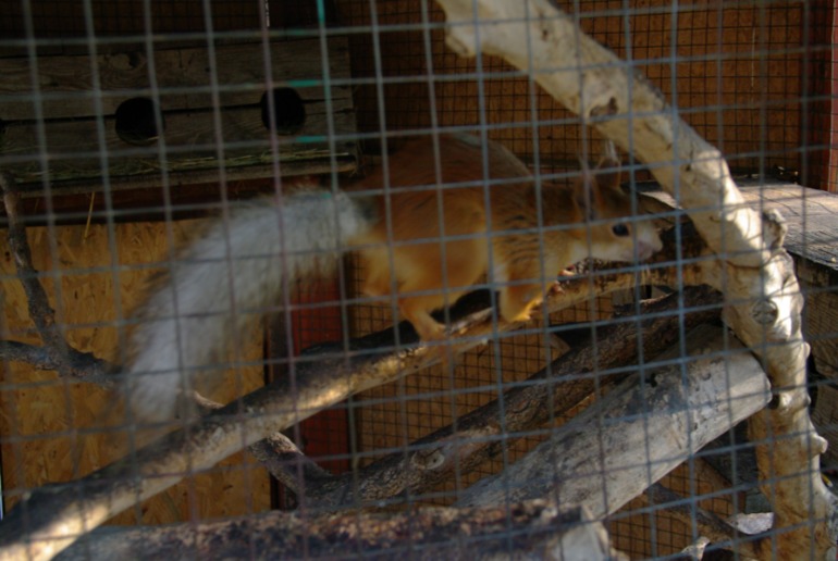 Бердянск, как и где правильно отдыхать!