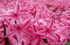 0eb49b6c83cbd6353d2b9154a27b8ce3.jpg