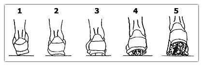 480b587fdfc194d75c1c6b5d329cae07.jpg