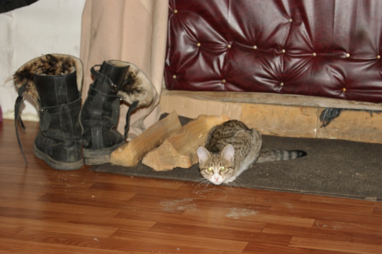 Один наш день...наконец-то написала!