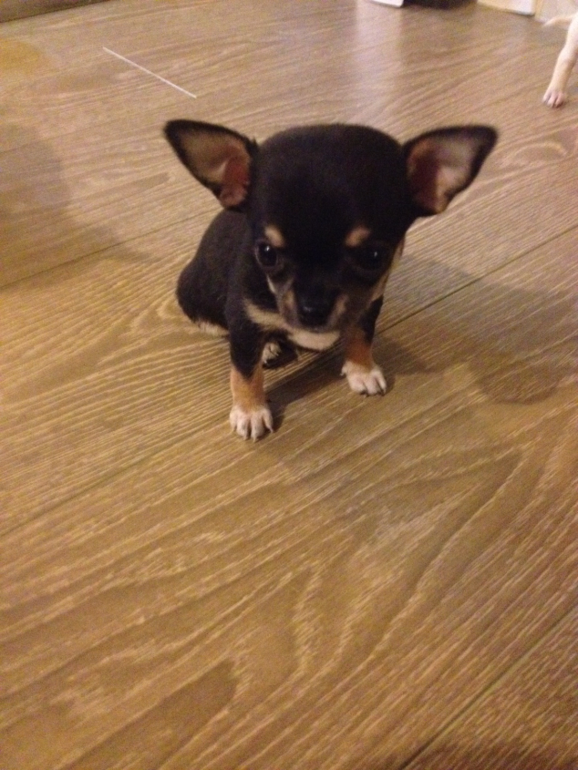 Актировка у малышей)