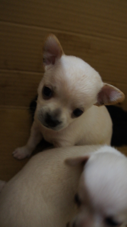 через 3 дня месяц)