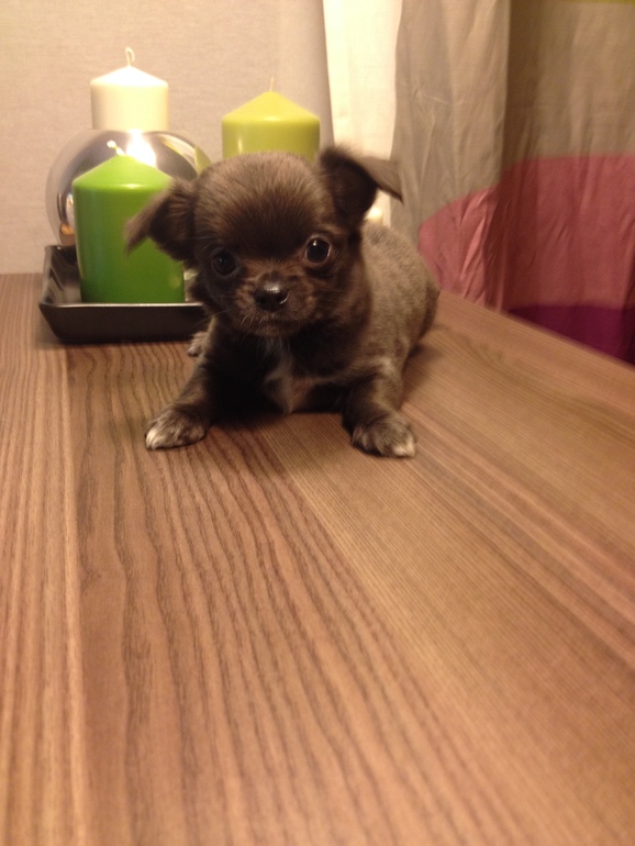 Забронированы)