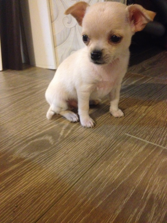 Актировка у малышей)