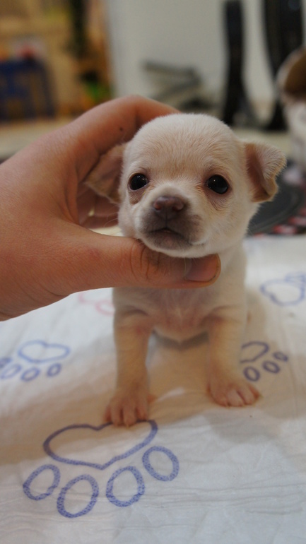 через 3 дня месяц)