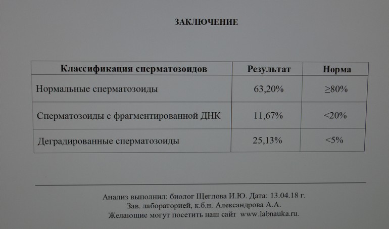 Анализаторы эякулята (спермоанализаторы) - АргусСофт купить в Москве | Диаэм