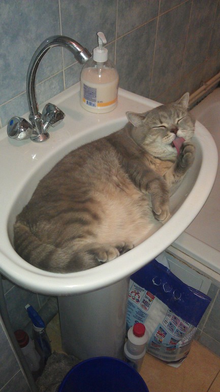 Моя любимая живность..)))