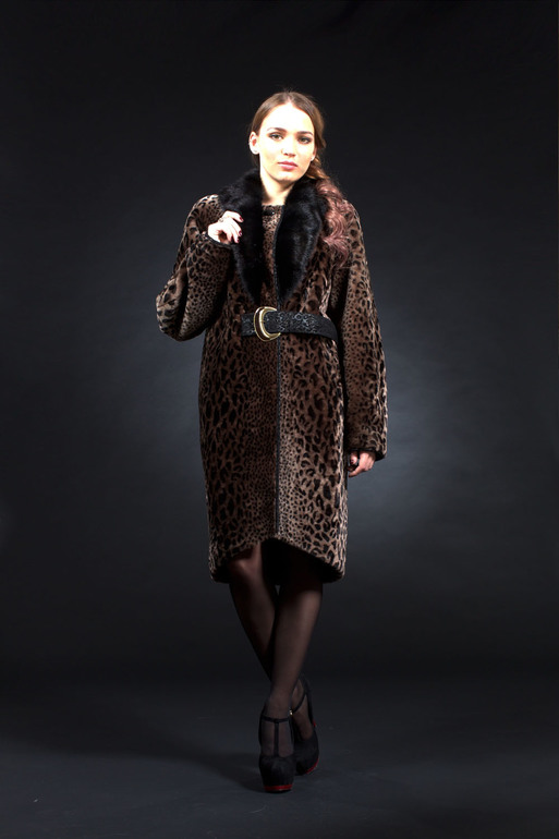 dda18f32ca8ad46c78a9f382ee47f56a.jpg