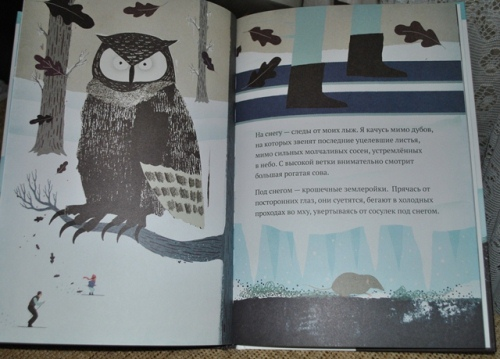 Наши новые зимние книги