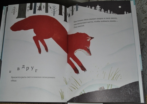 Наши новые зимние книги