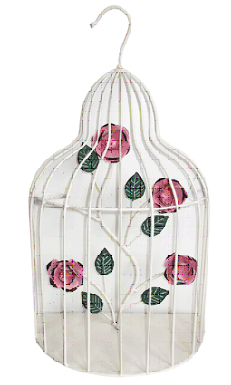 SimpleThingsShop.  Клетки интерьерные декоративные разные