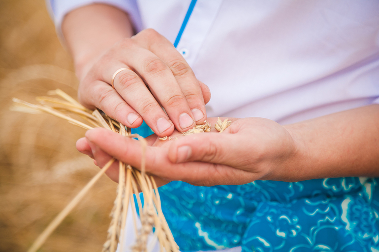 Ситцевая свадьба Елены и Алексея