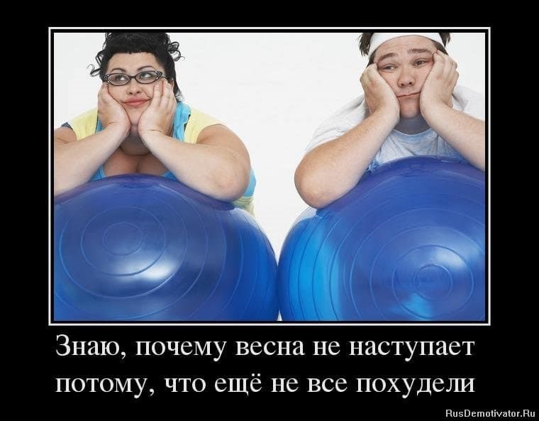 Картинка прикол про похудение, прикол