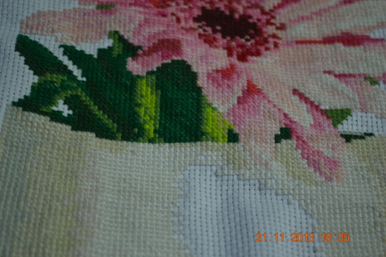 Мои "Герберы"