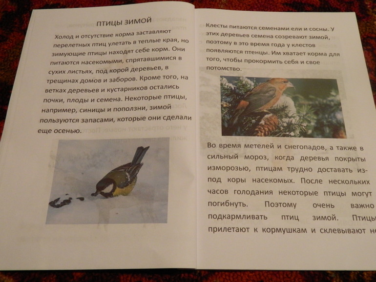 Книжка про зиму