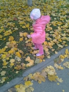 Собирали букет бабушке !!! Или ... осенняя прогулка ( фото с телефона ) ...