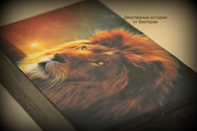 Я твой лев, ты моя львица!