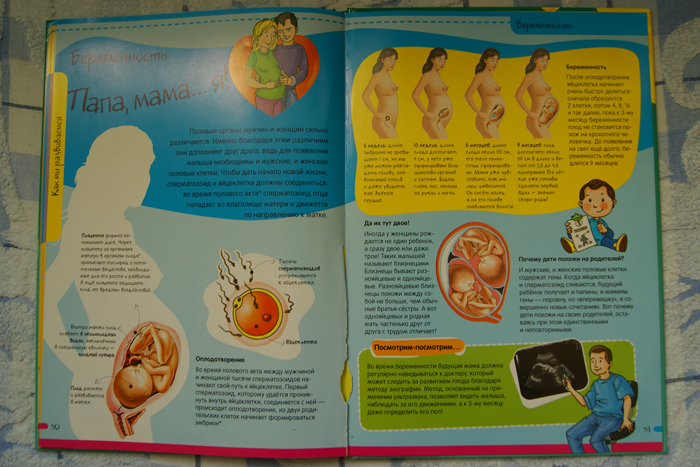 Нескучная Анатомия. Лабиринт