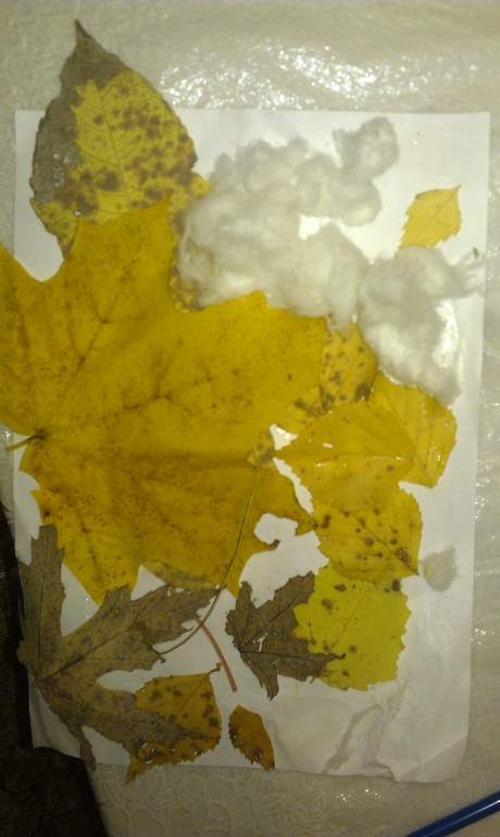 Несколько наших занятий