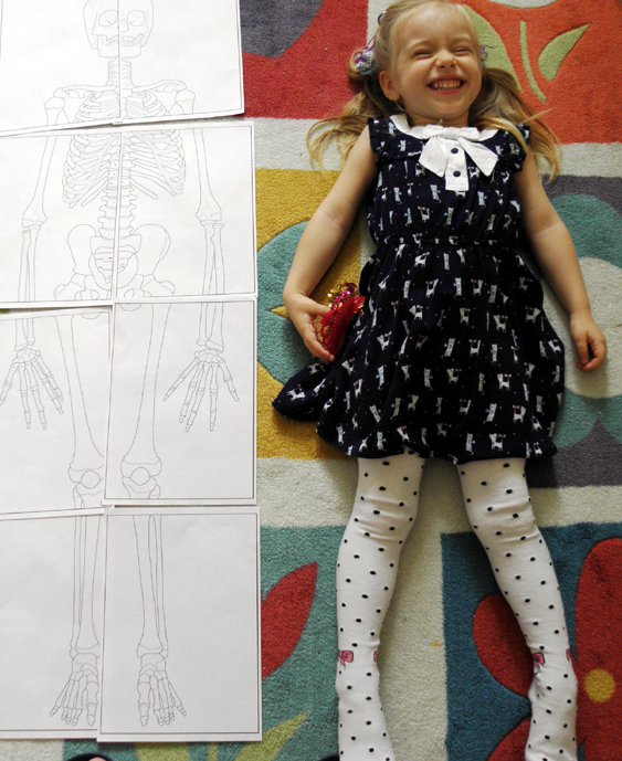 ТН - ТЕЛО ЧЕЛОВЕКА