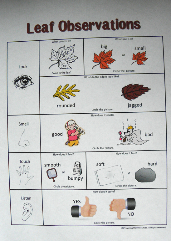 Последний отчет по осени)