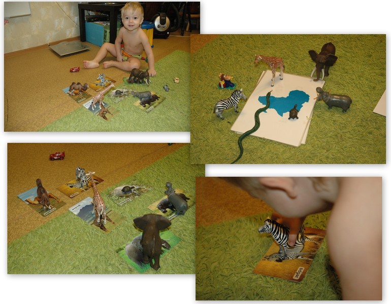 ТН "Африка" - 1 день