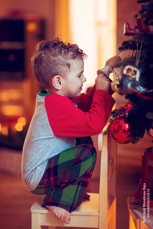 Предновогодняя семейная фотосессия