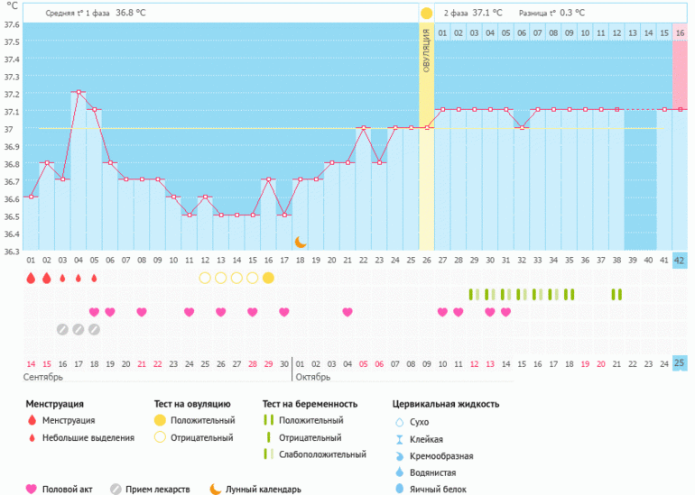 Цикл 26. Беременные графики с из. Беременный график с маленькой разницей температур. Температура при беременности на ранних сроках отзывы форум.