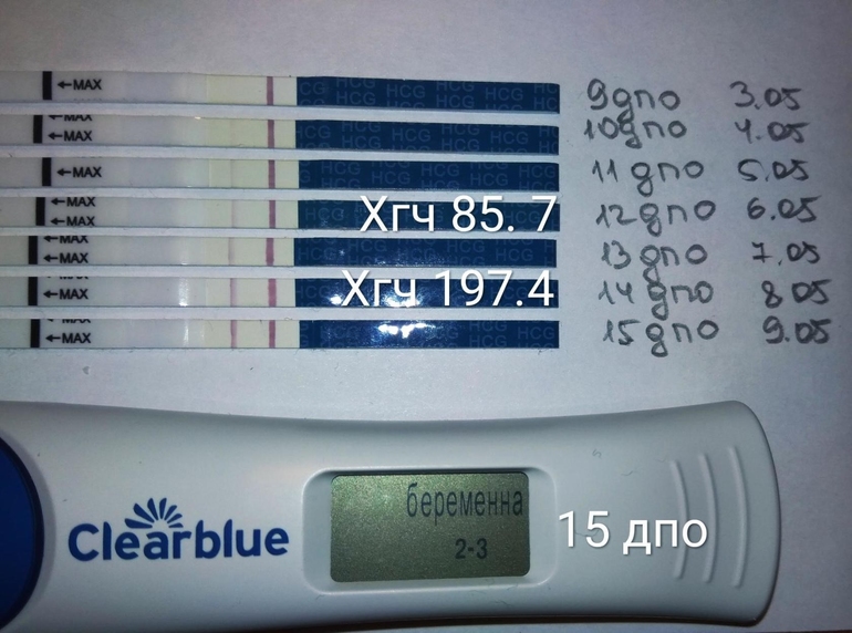Беременность 4 день после зачатия. ДПО это в беременности. 8 ДПО тест на беременность. ХГЧ на 8 ДПО. 11 День ДПО тест.