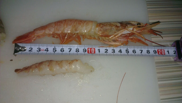 Рыба ,ИКРА, креветки и другие морепродукты отличного качества!