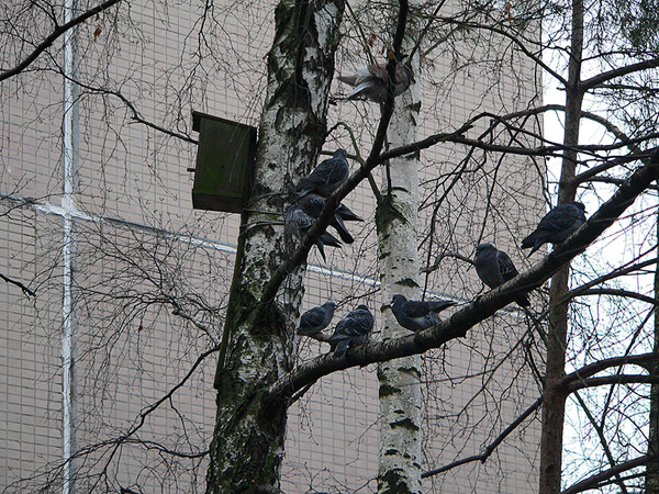 На прогулке (фото)