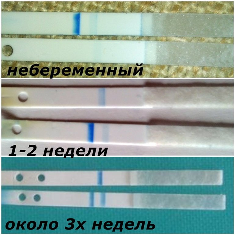 163a2013093a1a882e29e5a916e82bdc.jpg