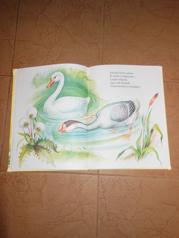 Наши любимы книжки