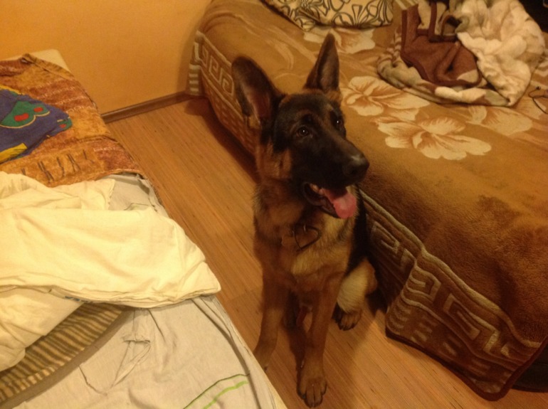 Рррррастееет!!