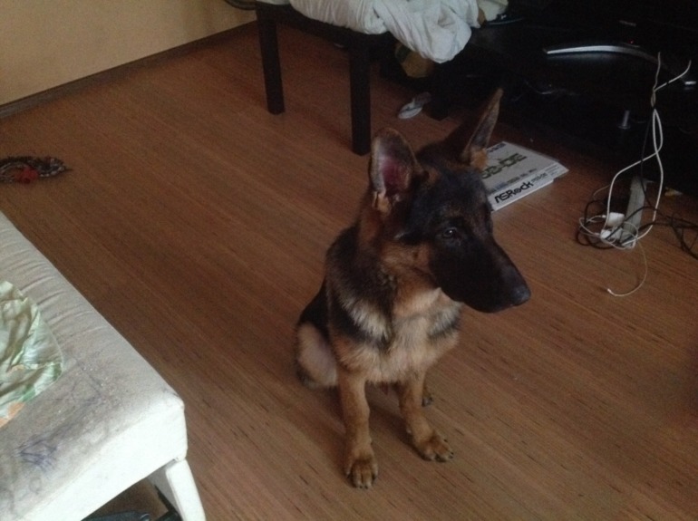 Стал/был.вымахал мальчишка))